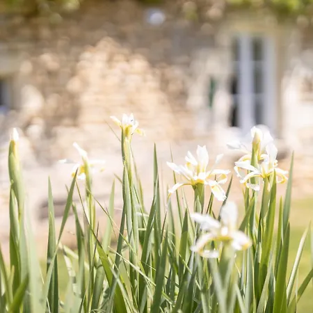 度假居 Center Parcs A 5min - Ideal Familles & Groupes - 3 Parkings - Piscine - Jardin Clos - Au Calme - Chateaux De La Loire