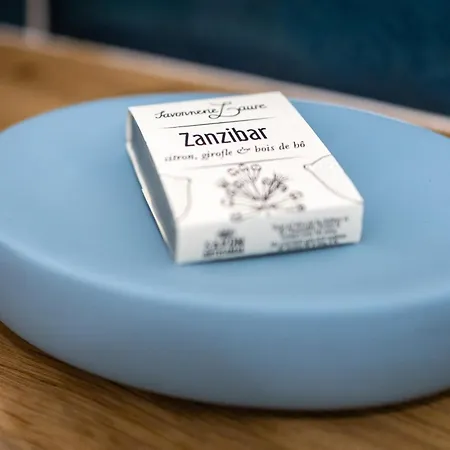 Center Parcs A 5min - Ideal Familles & Groupes - 3 Parkings - Piscine - Jardin Clos - Au Calme - Chateaux De La Loire *